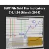 Bwt Fib Grid Pro Indicators 7.0.1.24 (march 2014)