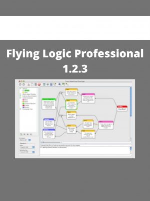 Flying Logic Professional 1.2.3