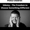 Pema Chödrön – Udemy – The Freedom To Choose Something Different