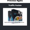 Precious Ngwu – Traffic Fusion