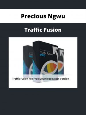 Precious Ngwu – Traffic Fusion
