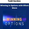 Todd Gordon – Winning In Options With Elliott Wave