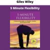 5 Minute Flexibility By Giles Wiley