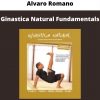 Alvaro Romano – Ginastica Natural Fundamentals