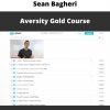 Aversity Gold Course By Sean Bagheri