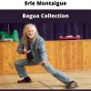 Bagua Collection By Erle Montaigue