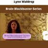 Brain Blockbuster Series By Lynn Waldrop