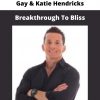Breakthrough To Bliss By Gay & Katie Hendricks