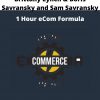 Brittany Lynch & Boris Savransky And Sam Savransky – 1 Hour Ecom Formula