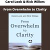 Carol Look & Rick Wilkes – From Overwhelm To Clarity