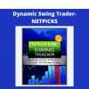 Dynamic Swing Trader-netpicks