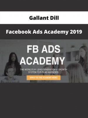 Facebook Ads Academy 2019 By Gallant Dill
