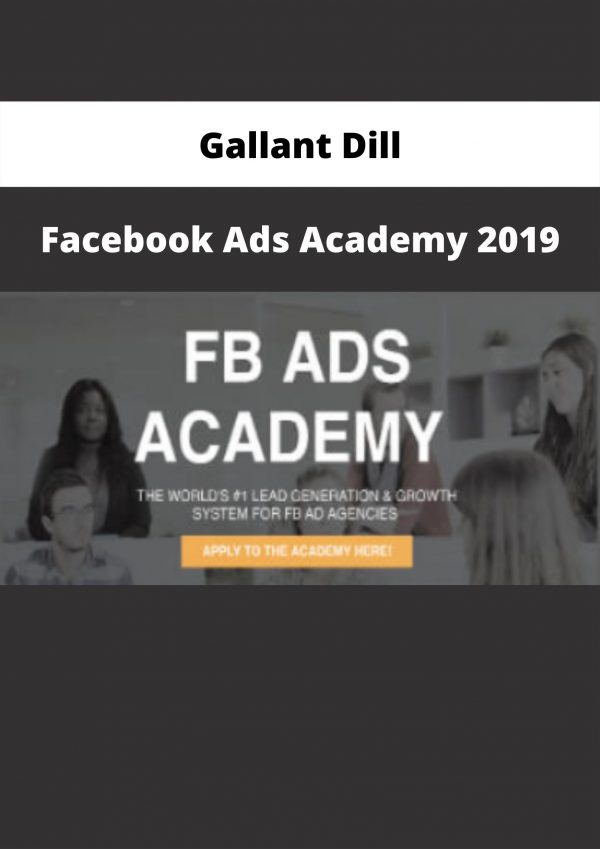 Facebook Ads Academy 2019 By Gallant Dill
