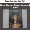 Flying Phoenix Qigong Advanced Level 3 By Grandmaster Doo Wai