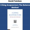 I Ching Acupuncture The Balance Method By David Twicken