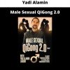 Male Sexual Qigong 2.0 By Yadi Alamin