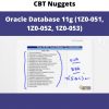 Oracle Database 11g (1z0-051, 1z0-052, 1z0-053) By Cbt Nuggets