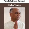 Pandit Rajmani Tigunait – Living Tantra