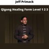 Qigong Healing Form Level 1 2 3 By Jeff Primack