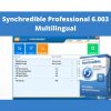 Synchredible Professional 6.003 Multilingual