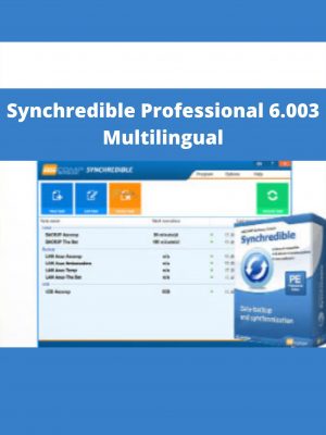 Synchredible Professional 6.003 Multilingual