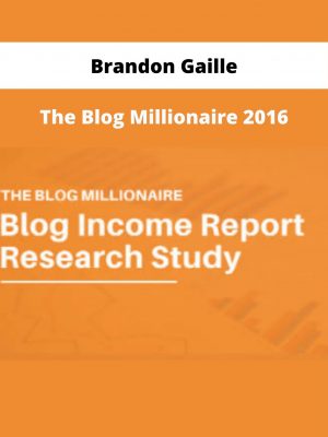 The Blog Millionaire 2016 By Brandon Gaille