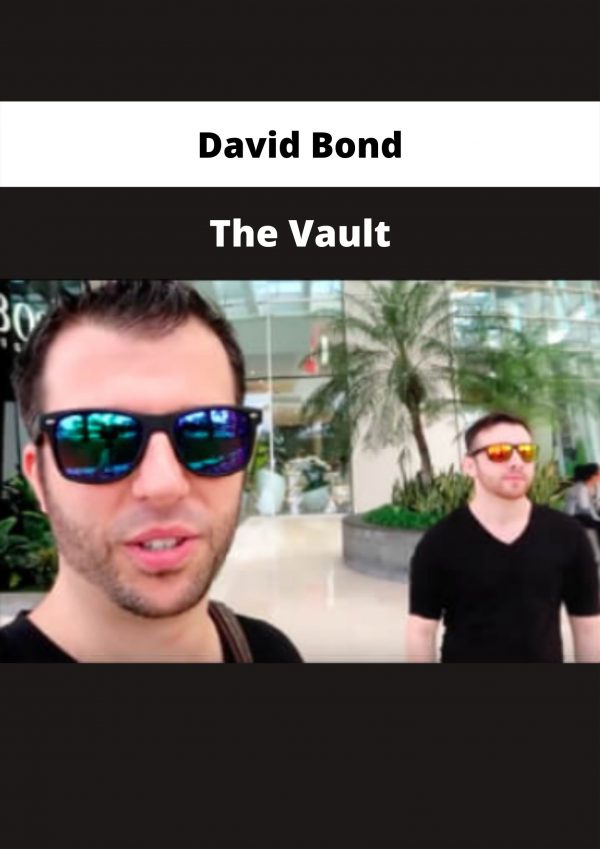 The Vault By David Bond