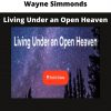 Wayne Simmonds – Living Under An Open Heaven