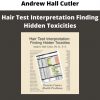 Andrew Hall Cutler – Hair Test Interpretation Finding Hidden Toxicities