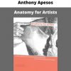 Anthony Apesos – Anatomy For Artists