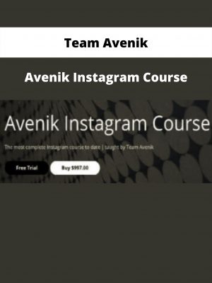 Avenik Instagram Course By Team Avenik