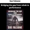 Bridging The Gap From Rehab To Performance By Sue Falsone