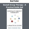 Bud Feder – Gestalt Group Therapy – A Practical Guide 2ed