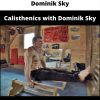 Calisthenics With Dominik Sky By Dominik Sky
