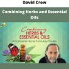 Combining Herbs And Essential Oils By David Crow