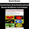 Connections (psychoeducational Shame-resilience Curriculum) By Brene Brown