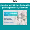 Creating An Emf Free Oasis With Jeromy Johnson Open Minds By Gaia