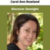 Discover Zensight By Carol Ann Rowland