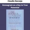 Enneagram As A Key To True Potential By Claudio Naranjo
