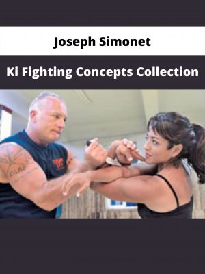 Ki Fighting Concepts Collection By Joseph Simonet