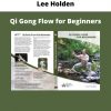 Qi Gong Flow For Beginners By Lee Holden