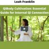 Qibody Cultivation: Essential Guide For Internal Qi Connection By Leah Franklin
