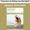 Qigong For Stress Relief By Francesco & Daisy Lee-garripoli