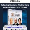 Relaxing Rhythms Meditations No Hardware Necessary From Wild Divine