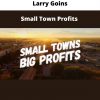 Small Town Profits By Larry Goins