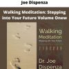 Walking Meditation: Stepping Into Your Future Volume Onew By Joe Dispenza