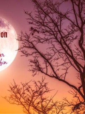 13 Moons Manifestation Initiation