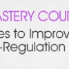 George Mccloskey, Lynne Kenney, Kathy Morris – Executive Function Mastery Course – Evidence-based Strategies To Improve Attention, Memory & Self-regulation