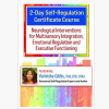 Varleisha D. Gibbs – 2-Day Self-Regulation Certificate Course: Neurological Interventions for Multisensory Integration, Emotional Regulation and Executive Functioning