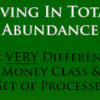 Dr. Dain Heer – Living In Total Abundance Class & Clearings